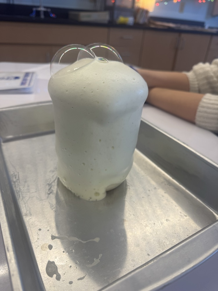 Today during middle school science, 7th grade students learned about chemical reactions. They got to experience elephant toothpaste, observing exothermic reaction along with seeing gas and bubbles produced from the reaction. 