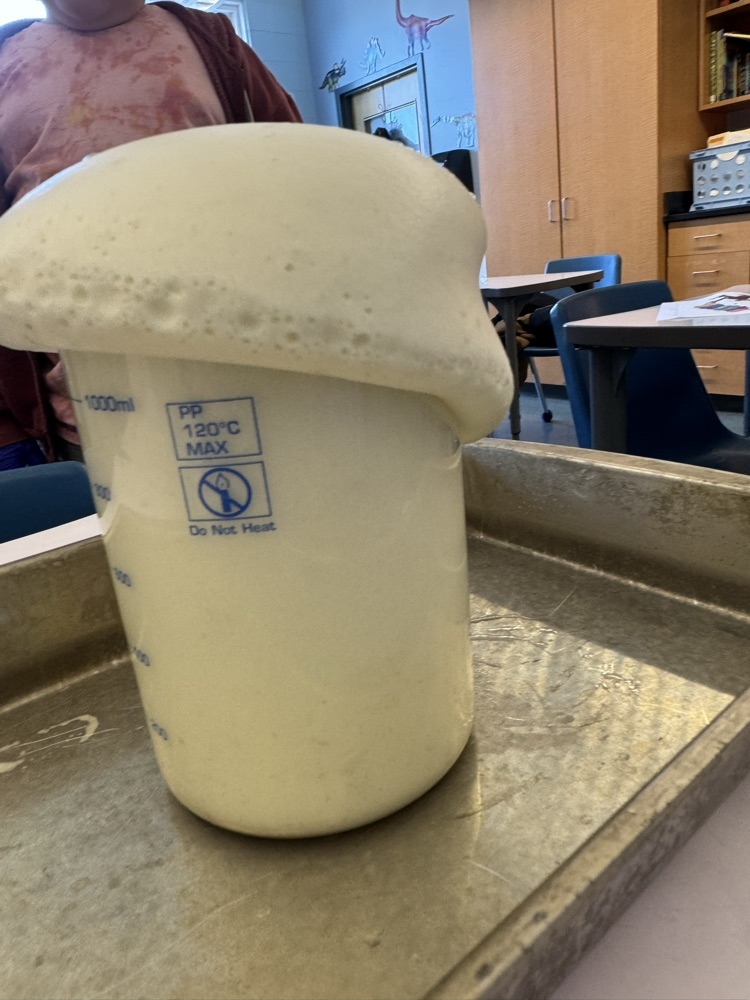 Today during middle school science, 7th grade students learned about chemical reactions. They got to experience elephant toothpaste, observing exothermic reaction along with seeing gas and bubbles produced from the reaction. 