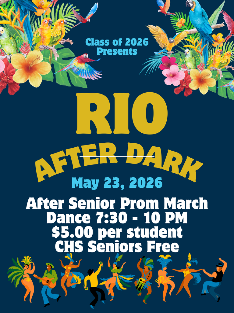 Rio After Dark