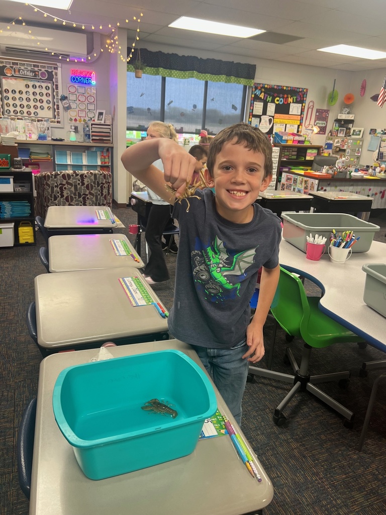 3rd crayfish