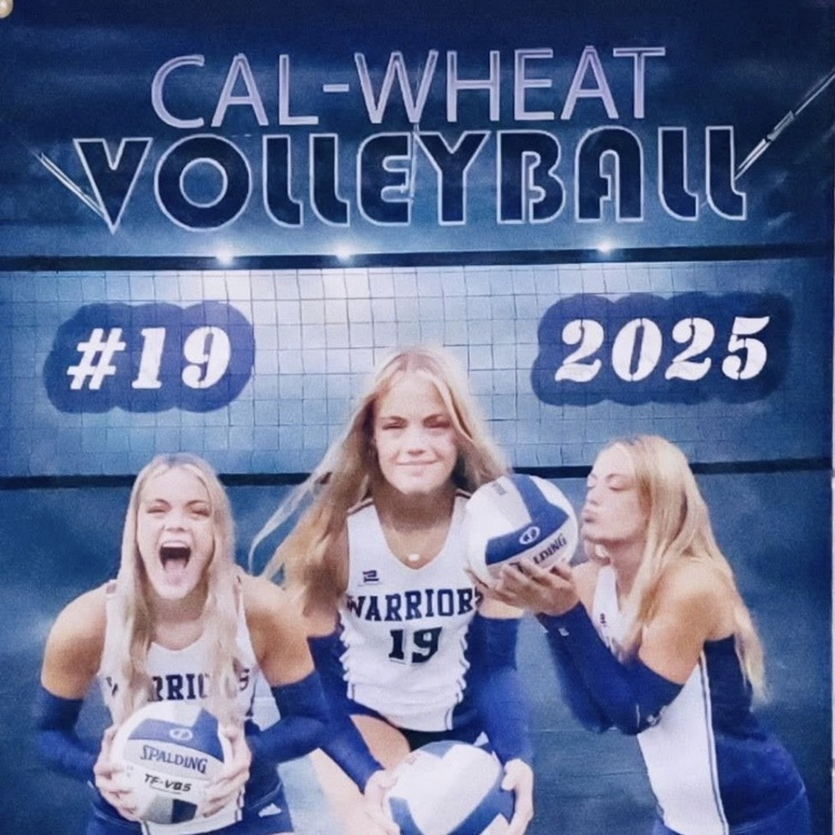 caleheat volleyball natalie Schroeder #29 2025