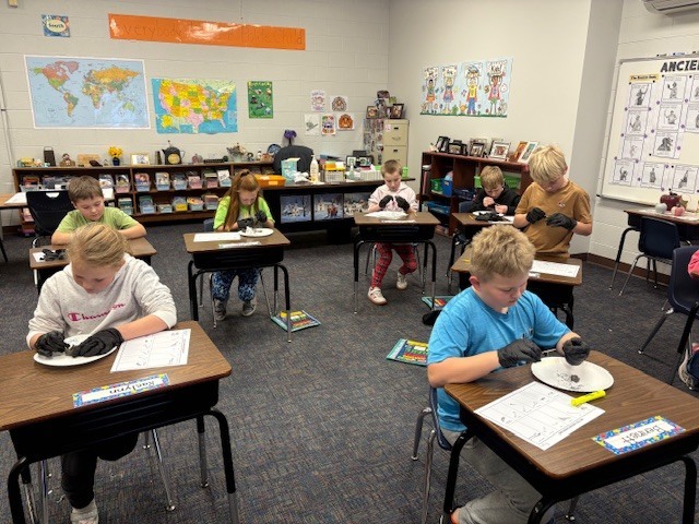 3rd dissecting owl pellets