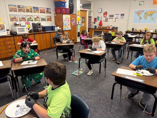 3rd dissecting owl pellets