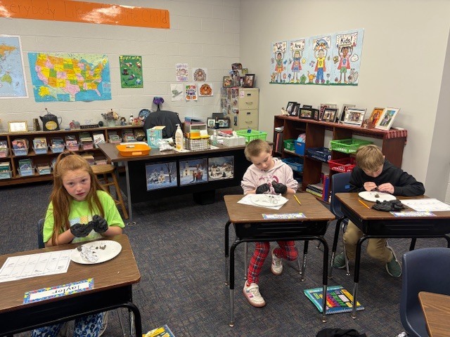 3rd dissecting owl pellets