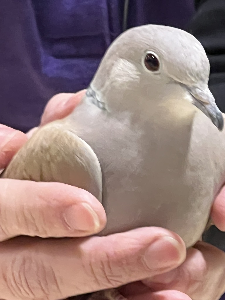 Fun at Lunch 1/16/26