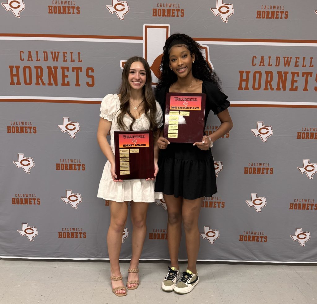 volleyball awards