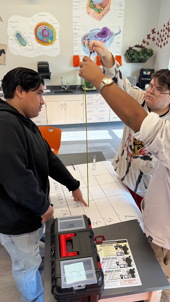 ๐๐ฉธ CSI: Caldwell Edition! ๐ฉธ๐ Mrs. Pipesโ forensic science students put their investigative skills to the test as they analyzed blood splatter patterns! ๐ต๏ธโโ๏ธ๐ก By studying how height affects drop size and how movement impacts shape, theyโre learning real-world techniques used to recreate crime scenes. Hands-on science at its best! ๐ฌ๐ #CaldwellISD