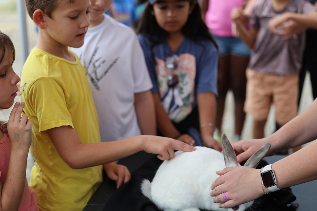 🐄🎡 Caldwell Elementary students had a fun day at the 𝐁𝐮𝐫𝐥𝐞𝐬𝐨𝐧 𝐂𝐨𝐮𝐧𝐭𝐲 𝐅𝐚𝐢𝐫! Our high school and Junior High FFA students served as 𝘵𝘰𝘶𝘳 𝘨𝘶𝘪𝘥𝘦𝘴—showing animals, sharing ag knowledge, and answering lots of curious questions. 🐖🐑  A big thanks to our FFA leaders for making this trip both educational and exciting for our younger Hornets! #CaldwellProud #CaldwellISD