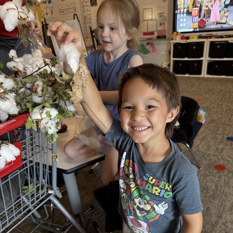 cotton lesson