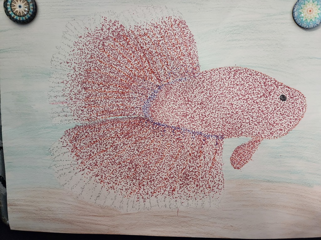 5Elisa