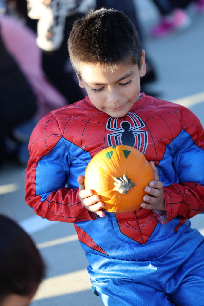 🎃 𝗣𝗮𝗿𝗲𝗻𝘁𝘀 & 𝗣𝘂𝗺𝗽𝗸𝗶𝗻𝘀 𝗮𝘁 𝗖𝗮𝗹𝗱𝘄𝗲𝗹𝗹 𝗘𝗹𝗲𝗺𝗲𝗻𝘁𝗮𝗿𝘆!  Our 2nd graders and their families had a fun-filled morning decorating pumpkins together during today’s 𝗣𝗮𝗿𝗲𝗻𝘁𝘀 & 𝗣𝘂𝗺𝗽𝗸𝗶𝗻𝘀 family engagement event! 🍂 We love seeing our families and students learning, laughing, and creating memories together. #CaldwellProud #CladwellISD