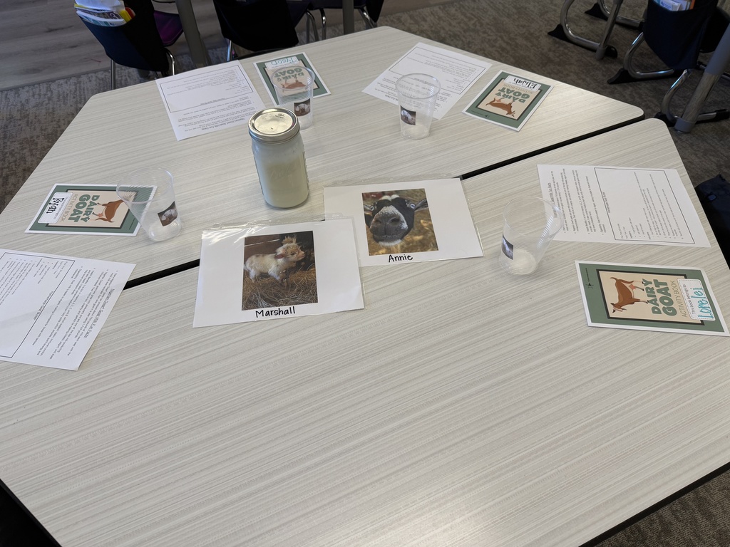 ๐๐ฅOur first grade GT students had an engaging, hands-on lesson about goats with Mrs. Best today! They loved learning all about milking goats and making popsicles from a farm in Needville, Texas. Students learned about different types of goats and the milking process. The highlight of the day was learning how the farm makes popsicles and getting to taste goat milk! 2 out of the 4 approved the goatโs milk! ๐ฅ