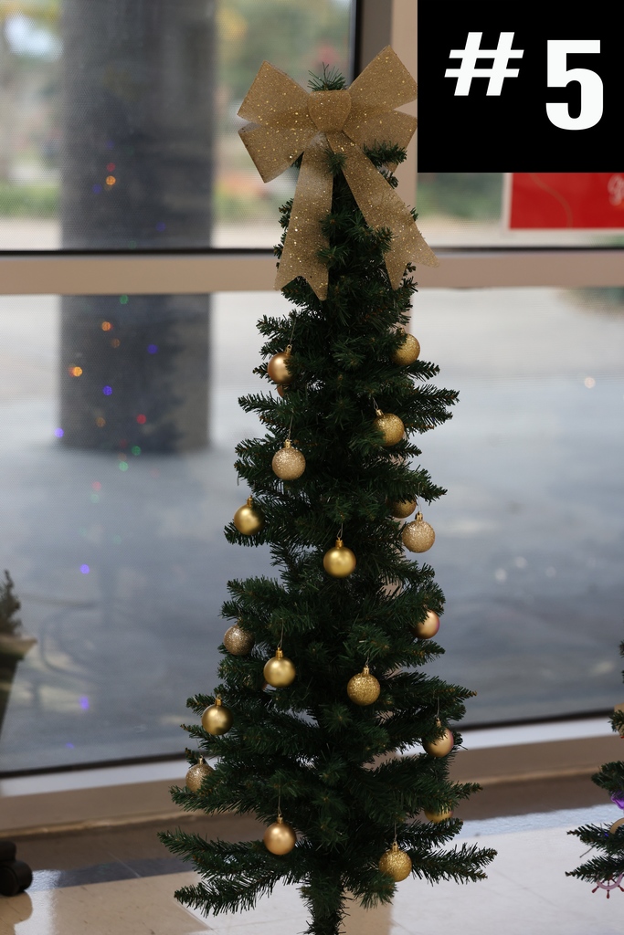 🎄 The tinsel is back and the competition is fierce! 🎄 The 𝟐𝐧𝐝 𝐀𝐧𝐧𝐮𝐚𝐥 𝐂𝐇𝐒 𝐇𝐨𝐥𝐢𝐝𝐚𝐲 𝐓𝐫𝐞𝐞 𝐃𝐞𝐜𝐨𝐫𝐚𝐭𝐢𝐧𝐠 𝐂𝐨𝐧𝐭𝐞𝐬𝐭 is underway, and our campus clubs/organizations went all out.  Now it’s your turn—v𝗩𝗢𝗧𝗘 𝗙𝗢𝗥 𝗬𝗢𝗨𝗥 𝗙𝗔𝗩𝗢𝗥𝗜𝗧𝗘 𝗧𝗥𝗘𝗘 (in the comments) and help crown this year’s champion! 🏆 May the best tree win… and the others handle it gracefully. 😉 #CaldwellProud #CaldwellISD