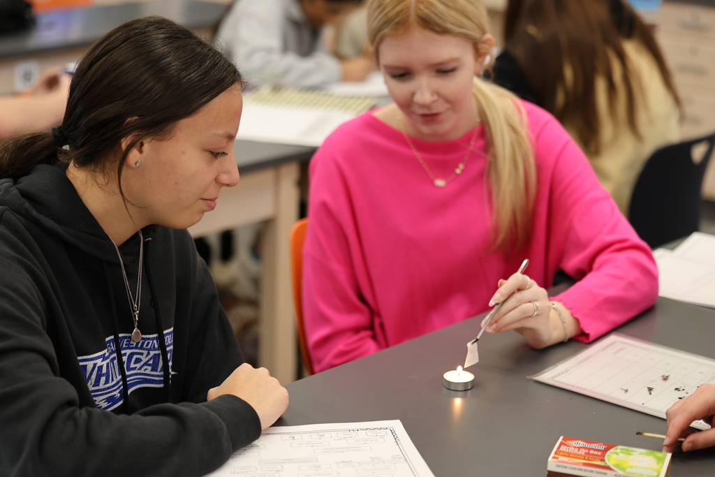 𝐟𝐢𝐛𝐞𝐫 𝐛𝐮𝐫𝐧 𝐚𝐧𝐚𝐥𝐲𝐬𝐢𝐬