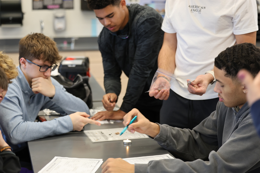 𝐟𝐢𝐛𝐞𝐫 𝐛𝐮𝐫𝐧 𝐚𝐧𝐚𝐥𝐲𝐬𝐢𝐬