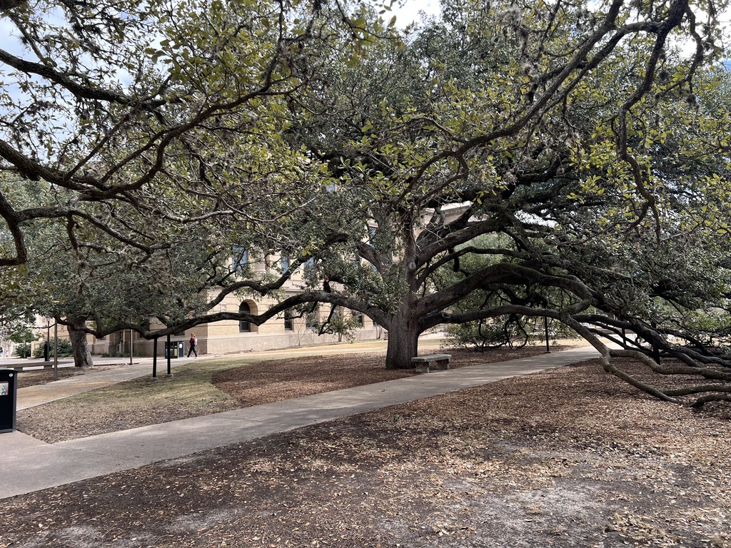 ๐ ๐๐ฉ๐๐ ๐๐ผ๐น๐น๐ฒ๐ด๐ฒ & ๐๐ฎ๐ฟ๐ฒ๐ฒ๐ฟ ๐ฅ๐ฒ๐ฎ๐ฑ๐ถ๐ป๐ฒ๐๐ ๐๐
๐ฝ๐ฒ๐ฟ๐ถ๐ฒ๐ป๐ฐ๐ฒ ๐ Our Caldwell High School AVID students recently visited Texas A&M University as part of their college and career readiness learning. Students participated in a campus tour and had the opportunity to learn more about college life and postsecondary options. Opportunities like this support AVIDโs mission of preparing students for future academic success. #CaldwellProud #CaldwellISD