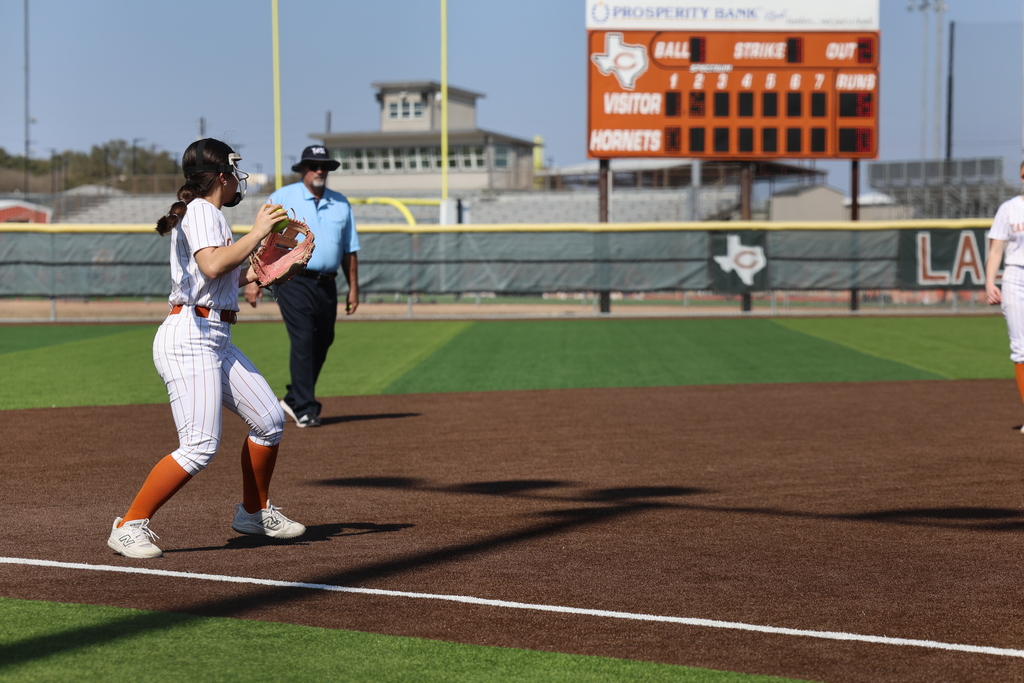 𝙇𝙖𝙙𝙮 𝙃𝙤𝙧𝙣𝙚𝙩 𝙨𝙤𝙛𝙩𝙗𝙖𝙡𝙡