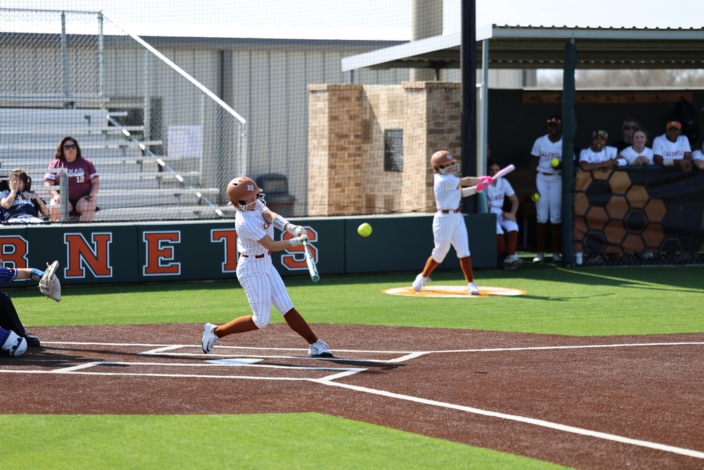 𝙇𝙖𝙙𝙮 𝙃𝙤𝙧𝙣𝙚𝙩 𝙨𝙤𝙛𝙩𝙗𝙖𝙡𝙡