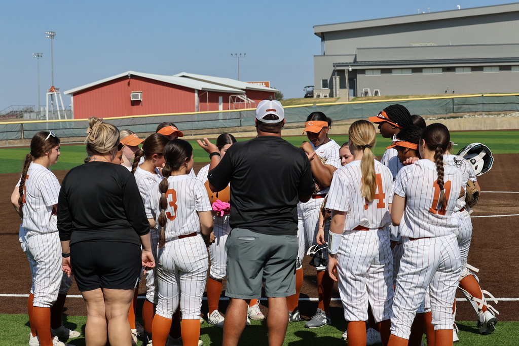 𝙇𝙖𝙙𝙮 𝙃𝙤𝙧𝙣𝙚𝙩 𝙨𝙤𝙛𝙩𝙗𝙖𝙡𝙡