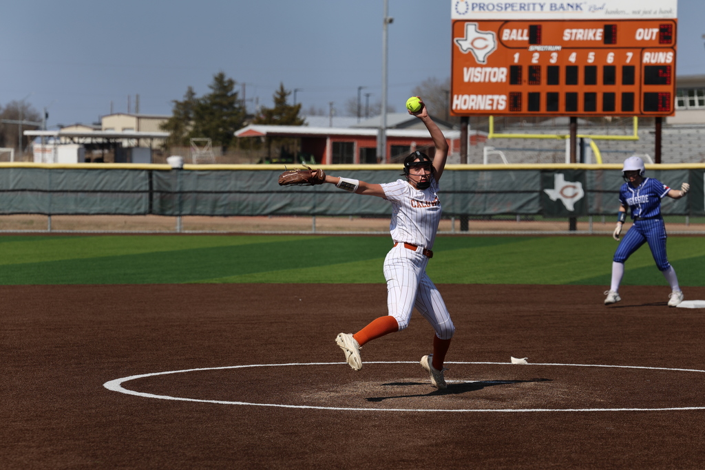 𝙇𝙖𝙙𝙮 𝙃𝙤𝙧𝙣𝙚𝙩 𝙨𝙤𝙛𝙩𝙗𝙖𝙡𝙡