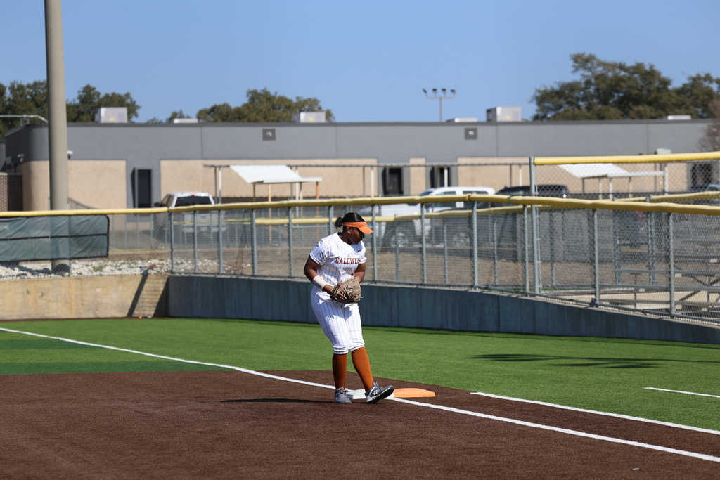 𝙇𝙖𝙙𝙮 𝙃𝙤𝙧𝙣𝙚𝙩 𝙨𝙤𝙛𝙩𝙗𝙖𝙡𝙡