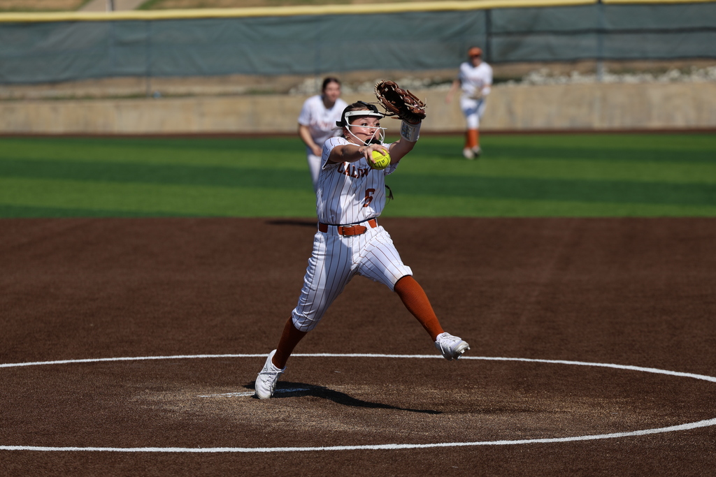 𝙇𝙖𝙙𝙮 𝙃𝙤𝙧𝙣𝙚𝙩 𝙨𝙤𝙛𝙩𝙗𝙖𝙡𝙡