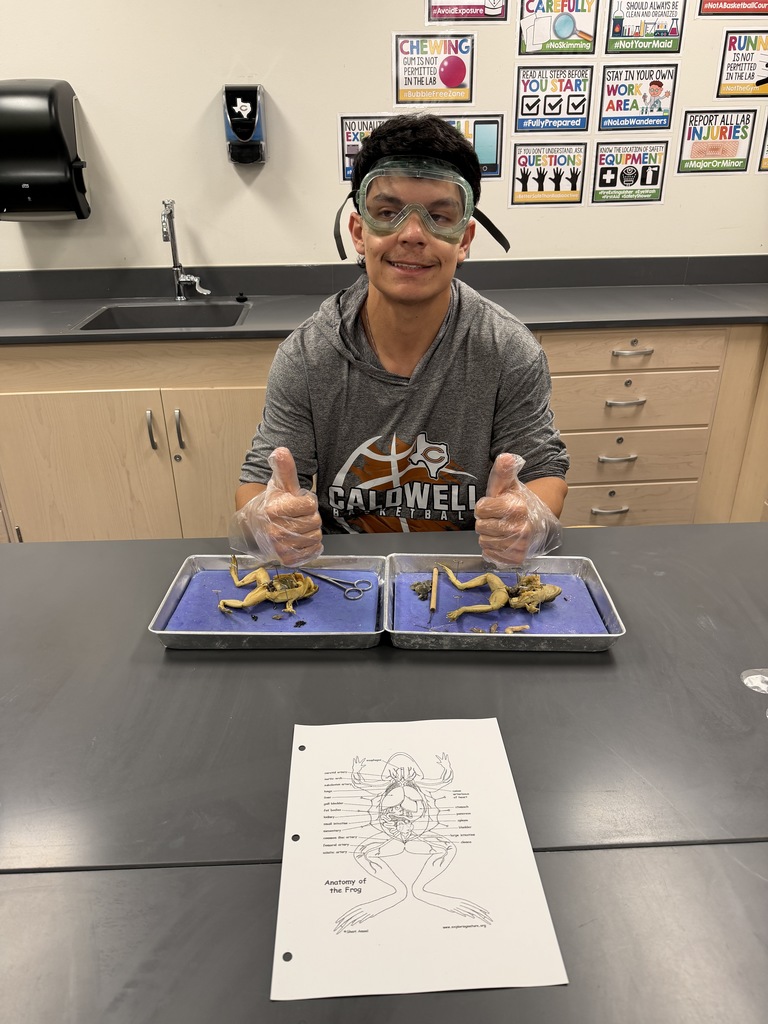𝐍𝐨𝐭 𝐟𝐨𝐫 𝐭𝐡𝐞 𝐬𝐪𝐮𝐞𝐚𝐦𝐢𝐬𝐡 👀 CJH students got a hands-on look at anatomy during frog dissections in science class! Learning comes to life when students can explore it up close. #CaldwellProud #CaldwellISD