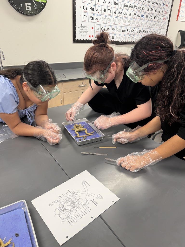 𝐍𝐨𝐭 𝐟𝐨𝐫 𝐭𝐡𝐞 𝐬𝐪𝐮𝐞𝐚𝐦𝐢𝐬𝐡 👀 CJH students got a hands-on look at anatomy during frog dissections in science class! Learning comes to life when students can explore it up close. #CaldwellProud #CaldwellISD