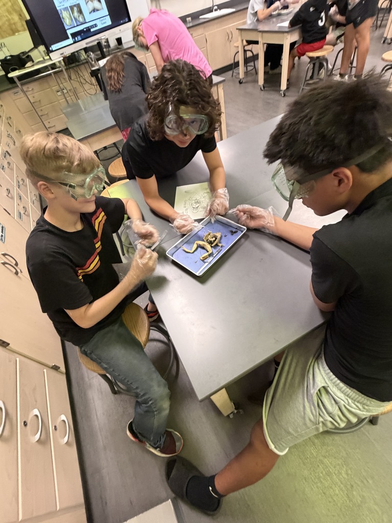 𝐍𝐨𝐭 𝐟𝐨𝐫 𝐭𝐡𝐞 𝐬𝐪𝐮𝐞𝐚𝐦𝐢𝐬𝐡 👀 CJH students got a hands-on look at anatomy during frog dissections in science class! Learning comes to life when students can explore it up close. #CaldwellProud #CaldwellISD