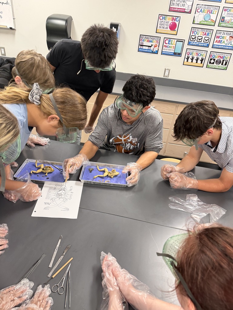 𝐍𝐨𝐭 𝐟𝐨𝐫 𝐭𝐡𝐞 𝐬𝐪𝐮𝐞𝐚𝐦𝐢𝐬𝐡 👀 CJH students got a hands-on look at anatomy during frog dissections in science class! Learning comes to life when students can explore it up close. #CaldwellProud #CaldwellISD