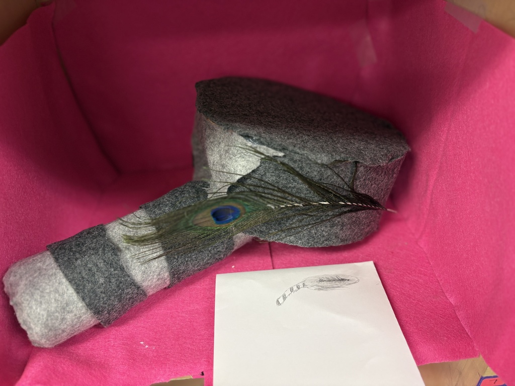 𝘼𝙡𝙞𝙘𝙚 𝙞𝙣 𝙒𝙤𝙣𝙙𝙚𝙧𝙡𝙖𝙣𝙙