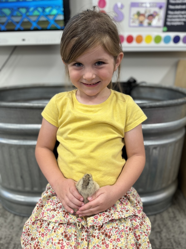 🐥 𝗧𝗵𝗲 𝘄𝗮𝗶𝘁 𝘄𝗮𝘀 𝘄𝗼𝗿𝘁𝗵 𝗶𝘁! After 21 days of watching, learning, and waiting… the chicks have hatched! Our Pre-K students are diving into their farm unit by learning how to care for them and watching them grow up close.  Hands-on learning at its cutest! #CaldwellProud #CaldwellISD
