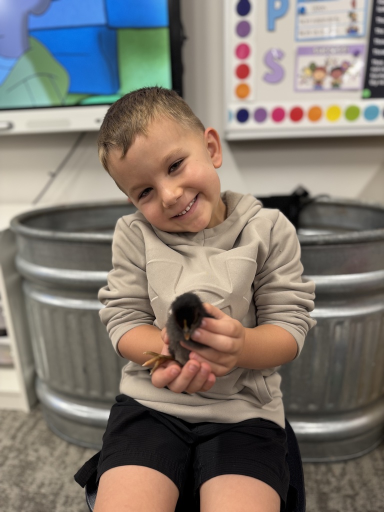 🐥 𝗧𝗵𝗲 𝘄𝗮𝗶𝘁 𝘄𝗮𝘀 𝘄𝗼𝗿𝘁𝗵 𝗶𝘁! After 21 days of watching, learning, and waiting… the chicks have hatched! Our Pre-K students are diving into their farm unit by learning how to care for them and watching them grow up close.  Hands-on learning at its cutest! #CaldwellProud #CaldwellISD