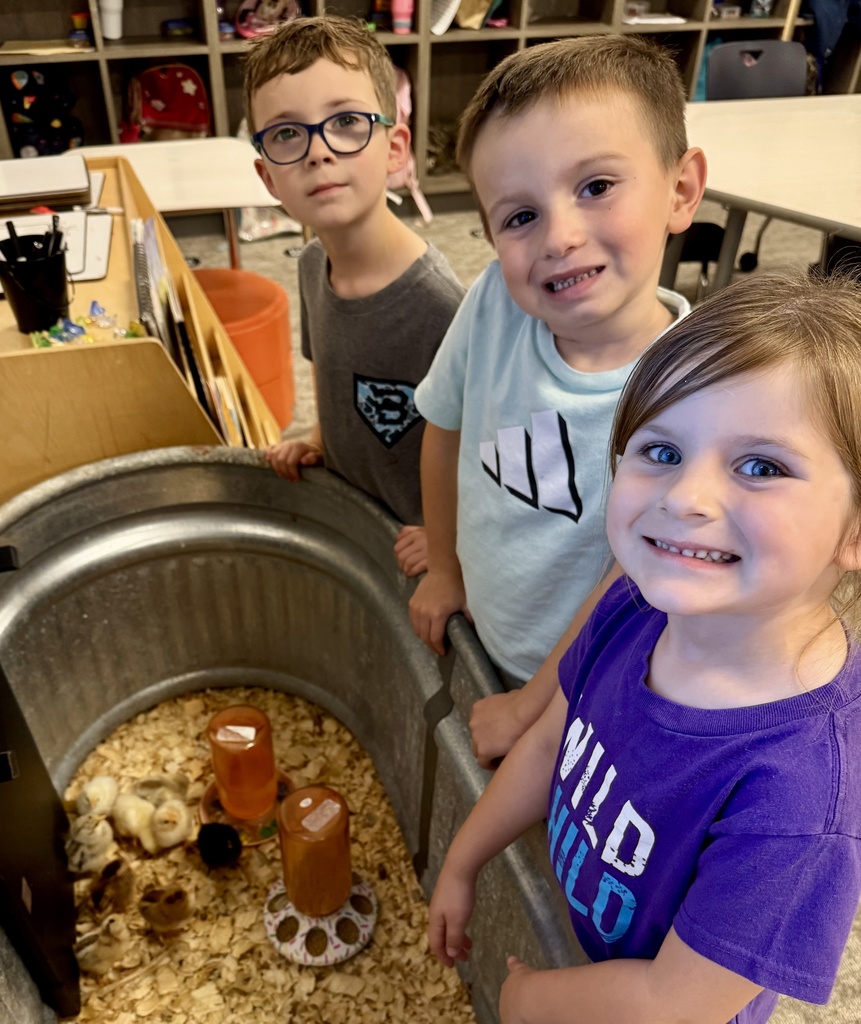 🐥 𝗧𝗵𝗲 𝘄𝗮𝗶𝘁 𝘄𝗮𝘀 𝘄𝗼𝗿𝘁𝗵 𝗶𝘁! After 21 days of watching, learning, and waiting… the chicks have hatched! Our Pre-K students are diving into their farm unit by learning how to care for them and watching them grow up close.  Hands-on learning at its cutest! #CaldwellProud #CaldwellISD