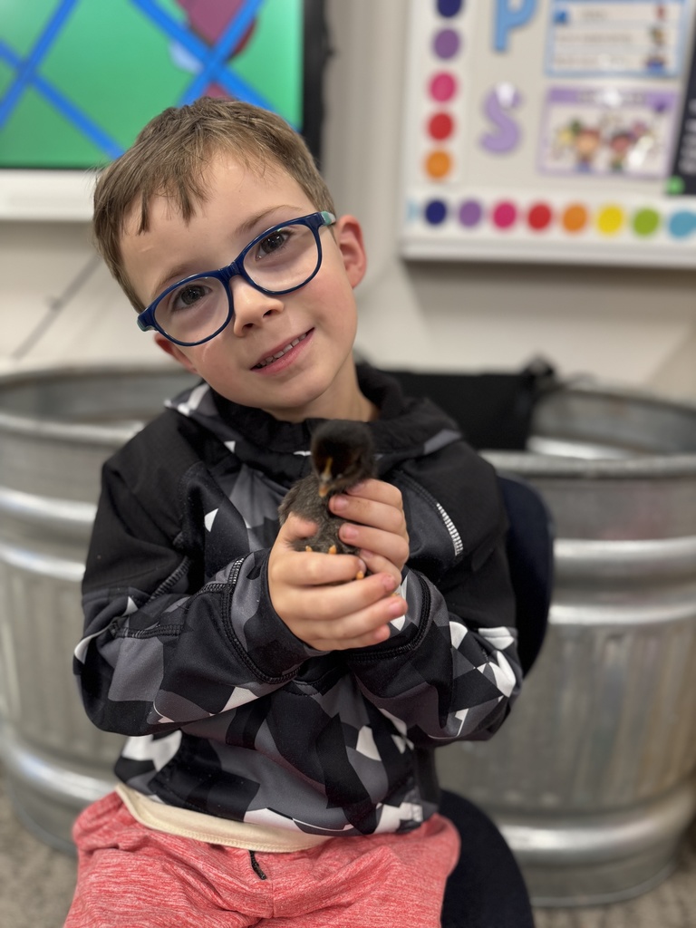🐥 𝗧𝗵𝗲 𝘄𝗮𝗶𝘁 𝘄𝗮𝘀 𝘄𝗼𝗿𝘁𝗵 𝗶𝘁! After 21 days of watching, learning, and waiting… the chicks have hatched! Our Pre-K students are diving into their farm unit by learning how to care for them and watching them grow up close.  Hands-on learning at its cutest! #CaldwellProud #CaldwellISD