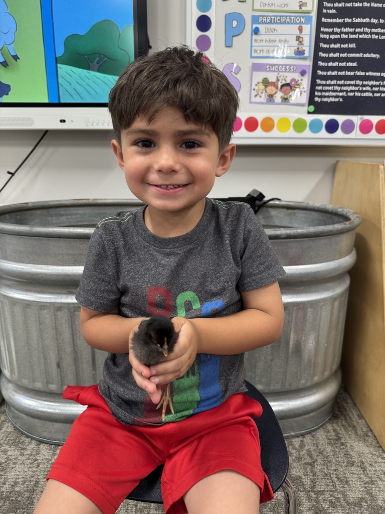 🐥 𝗧𝗵𝗲 𝘄𝗮𝗶𝘁 𝘄𝗮𝘀 𝘄𝗼𝗿𝘁𝗵 𝗶𝘁! After 21 days of watching, learning, and waiting… the chicks have hatched! Our Pre-K students are diving into their farm unit by learning how to care for them and watching them grow up close.  Hands-on learning at its cutest! #CaldwellProud #CaldwellISD