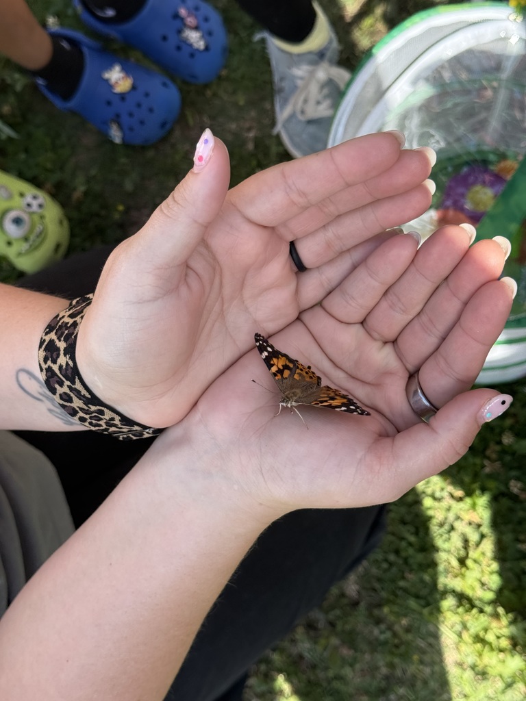 From tiny caterpillars to beautiful butterflies 🦋 Our Pre-K students got to witness a little bit of magic today as they released their butterflies and watched them take flight. Learning comes to life in moments like these 💛 #CaldwellProud #CaldwellISD