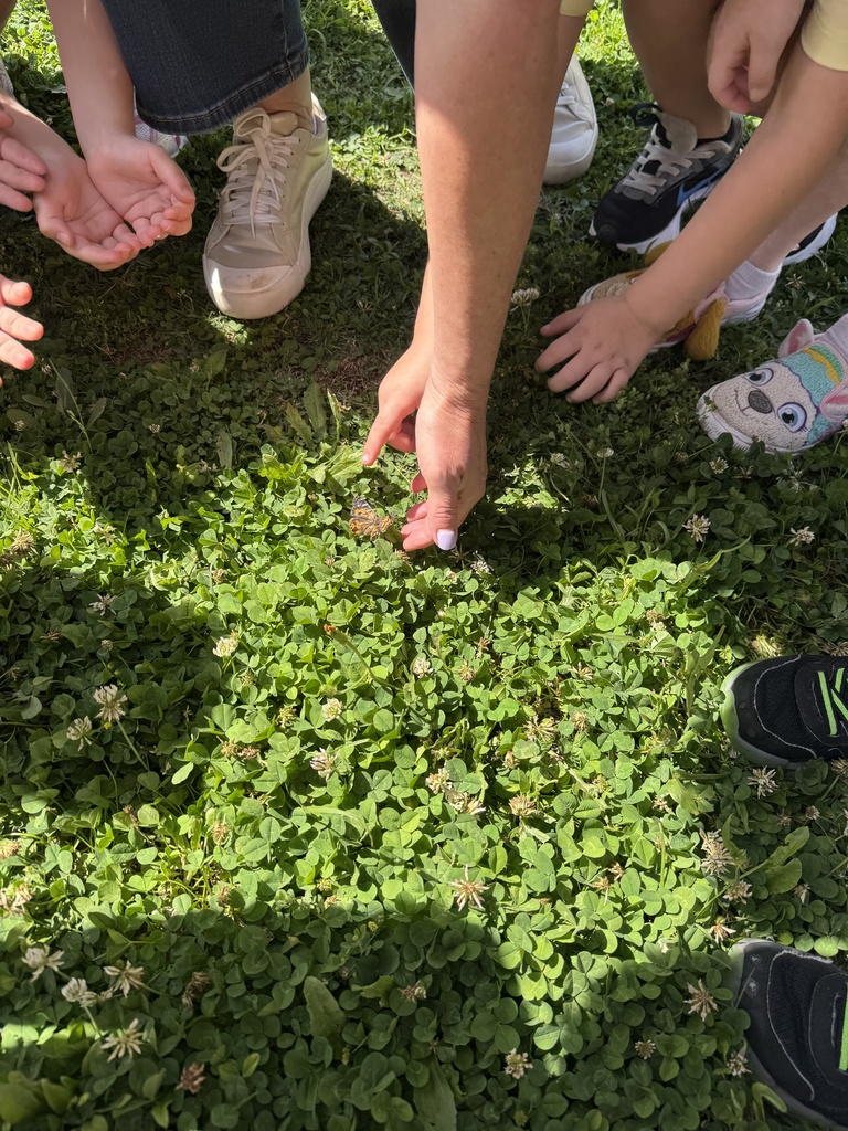 From tiny caterpillars to beautiful butterflies 🦋 Our Pre-K students got to witness a little bit of magic today as they released their butterflies and watched them take flight. Learning comes to life in moments like these 💛 #CaldwellProud #CaldwellISD