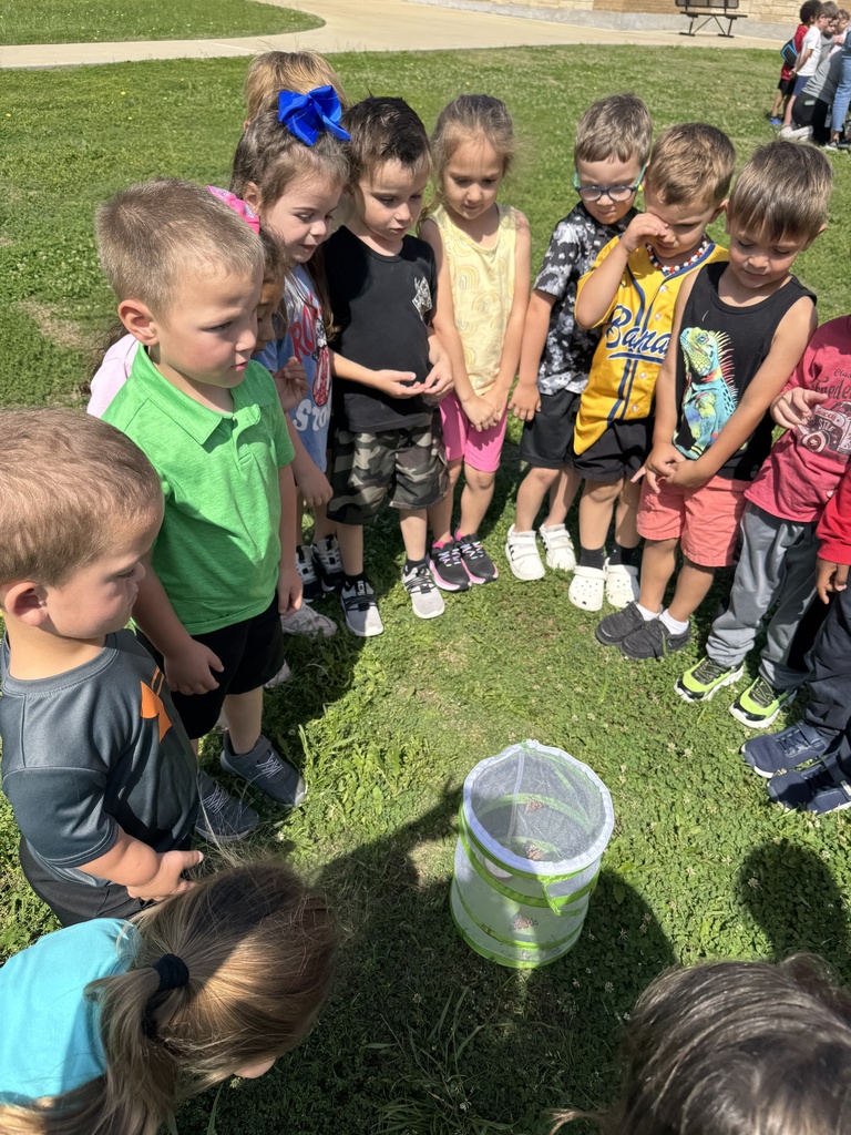 From tiny caterpillars to beautiful butterflies 🦋 Our Pre-K students got to witness a little bit of magic today as they released their butterflies and watched them take flight. Learning comes to life in moments like these 💛 #CaldwellProud #CaldwellISD