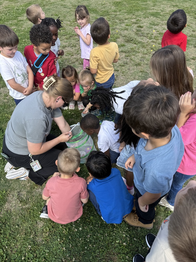 From tiny caterpillars to beautiful butterflies 🦋 Our Pre-K students got to witness a little bit of magic today as they released their butterflies and watched them take flight. Learning comes to life in moments like these 💛 #CaldwellProud #CaldwellISD