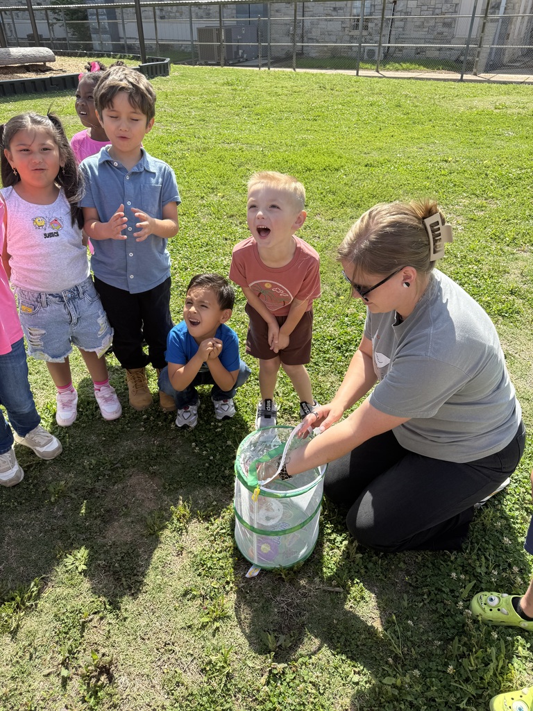 From tiny caterpillars to beautiful butterflies 🦋 Our Pre-K students got to witness a little bit of magic today as they released their butterflies and watched them take flight. Learning comes to life in moments like these 💛 #CaldwellProud #CaldwellISD