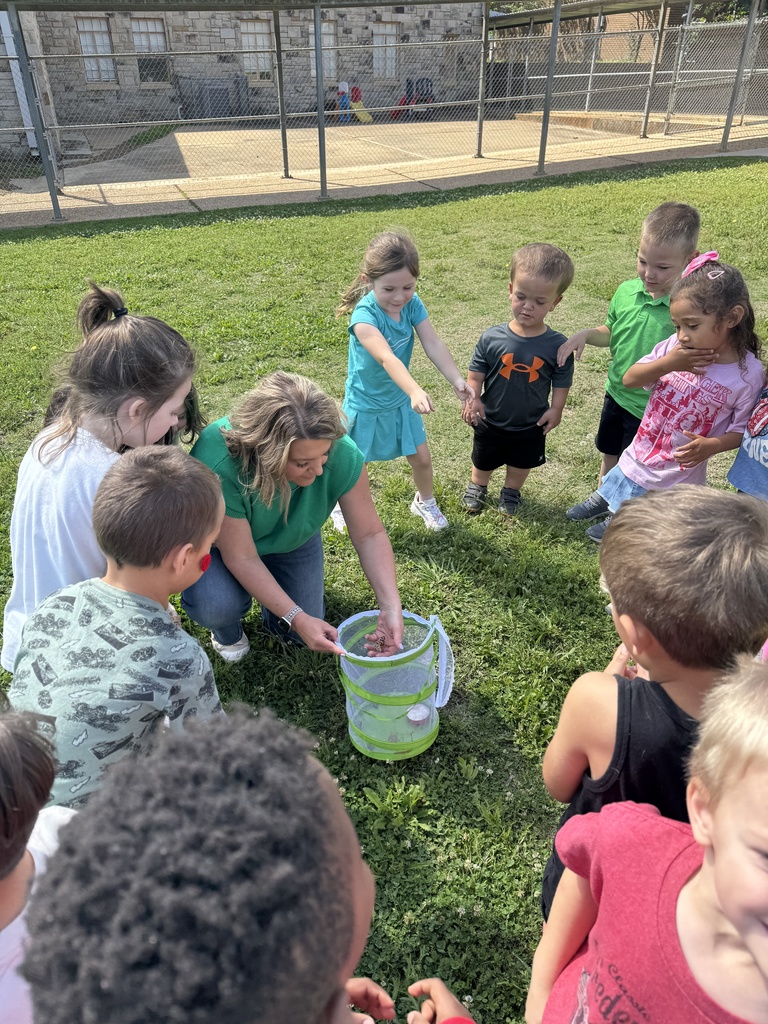 From tiny caterpillars to beautiful butterflies 🦋 Our Pre-K students got to witness a little bit of magic today as they released their butterflies and watched them take flight. Learning comes to life in moments like these 💛 #CaldwellProud #CaldwellISD