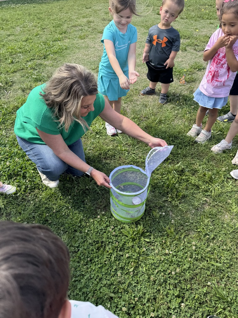 From tiny caterpillars to beautiful butterflies 🦋 Our Pre-K students got to witness a little bit of magic today as they released their butterflies and watched them take flight. Learning comes to life in moments like these 💛 #CaldwellProud #CaldwellISD
