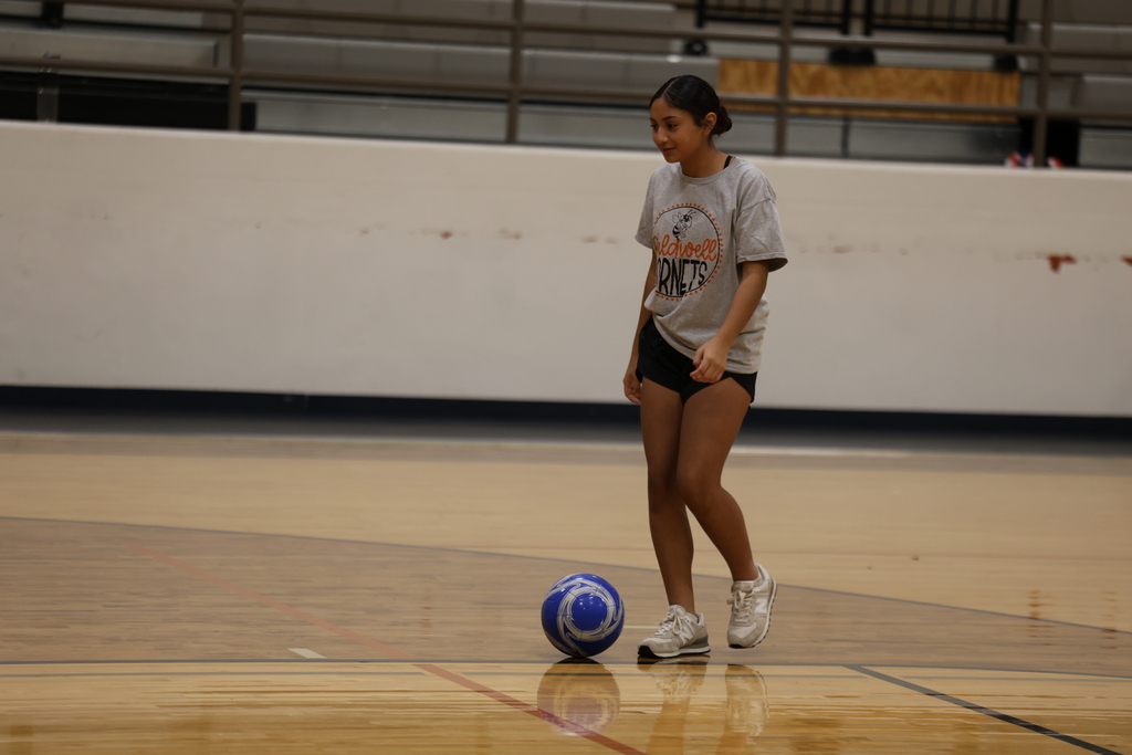 Option 3  ⚽️ Another great day at Soccer Camp!  From learning new skills to building confidence and teamwork, our campers have been putting in the work and having fun doing it. We can't wait to finish the week strong today! 🧡🖤 #StingEm