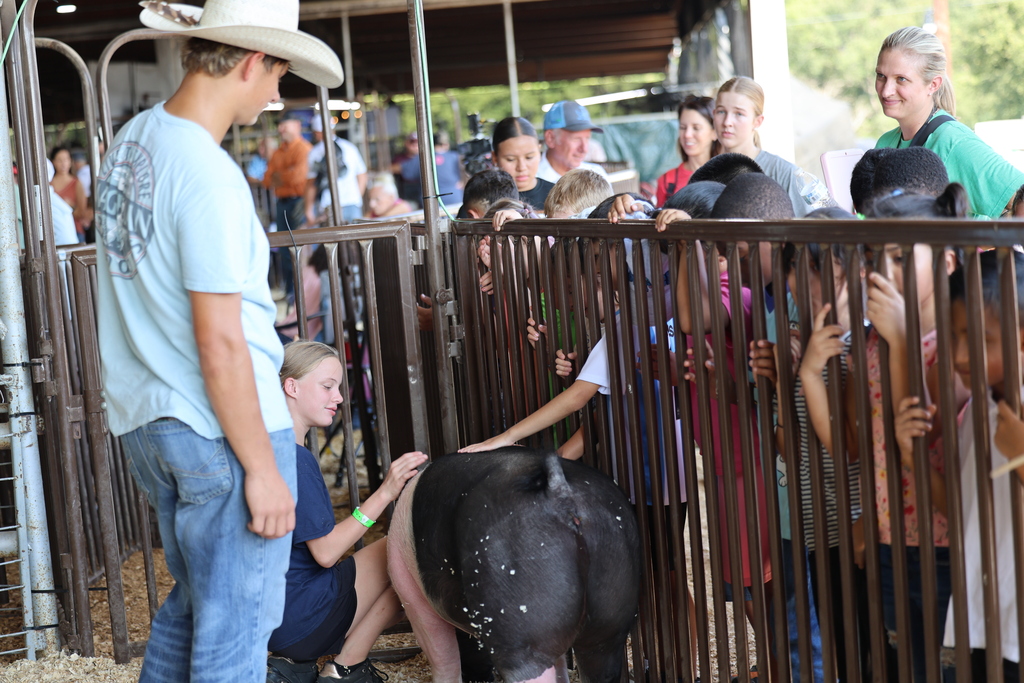 🐄🎡 It’s one of our favorite Burleson County Fair traditions!  Caldwell Elementary students spent the morning touring the fairgrounds, meeting animals and learning more about agriculture from our high school and junior high FFA students.  Thank you to our FFA members for being wonderful tour guides and creating such a fun, hands-on experience for our younger Hornets! 🐖🐑🧡