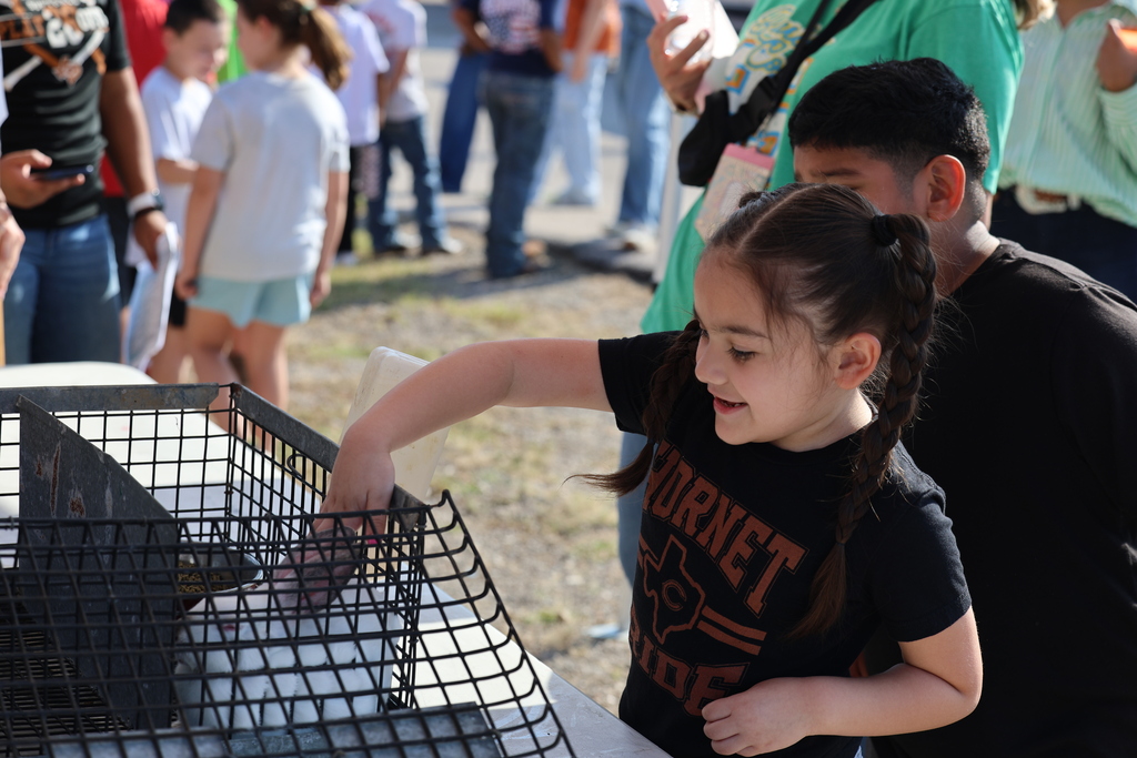 🐄🎡 It’s one of our favorite Burleson County Fair traditions!  Caldwell Elementary students spent the morning touring the fairgrounds, meeting animals and learning more about agriculture from our high school and junior high FFA students.  Thank you to our FFA members for being wonderful tour guides and creating such a fun, hands-on experience for our younger Hornets! 🐖🐑🧡