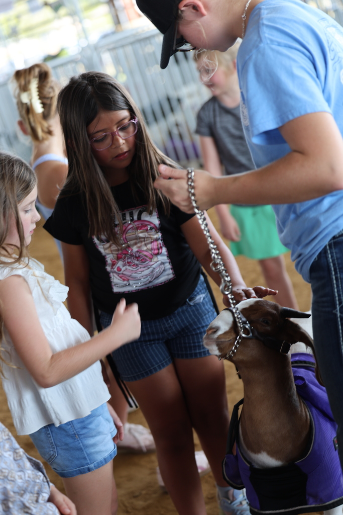 🐄🎡 It’s one of our favorite Burleson County Fair traditions!  Caldwell Elementary students spent the morning touring the fairgrounds, meeting animals and learning more about agriculture from our high school and junior high FFA students.  Thank you to our FFA members for being wonderful tour guides and creating such a fun, hands-on experience for our younger Hornets! 🐖🐑🧡