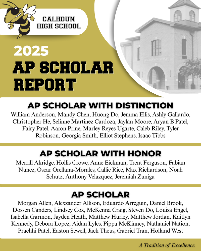 CHS 2025 AP Scholar Report