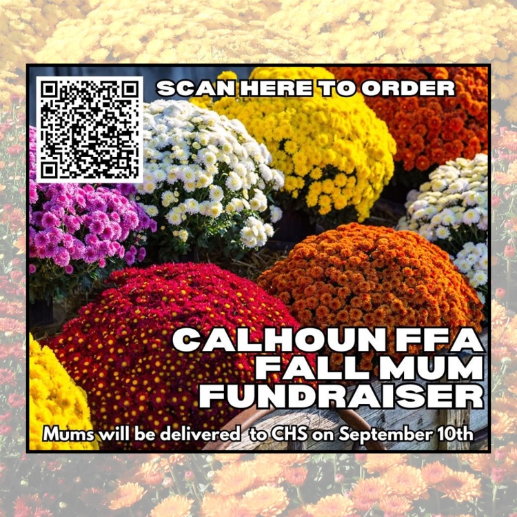 chs mum sale