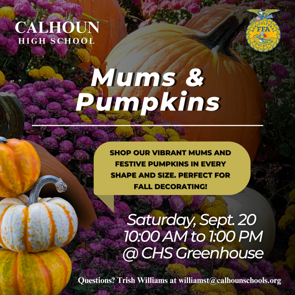 shop mums and pumpkins